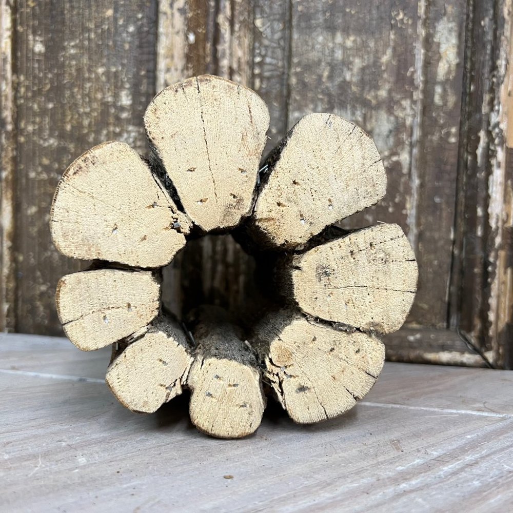 Cactus Riser - Picture 7 of 10